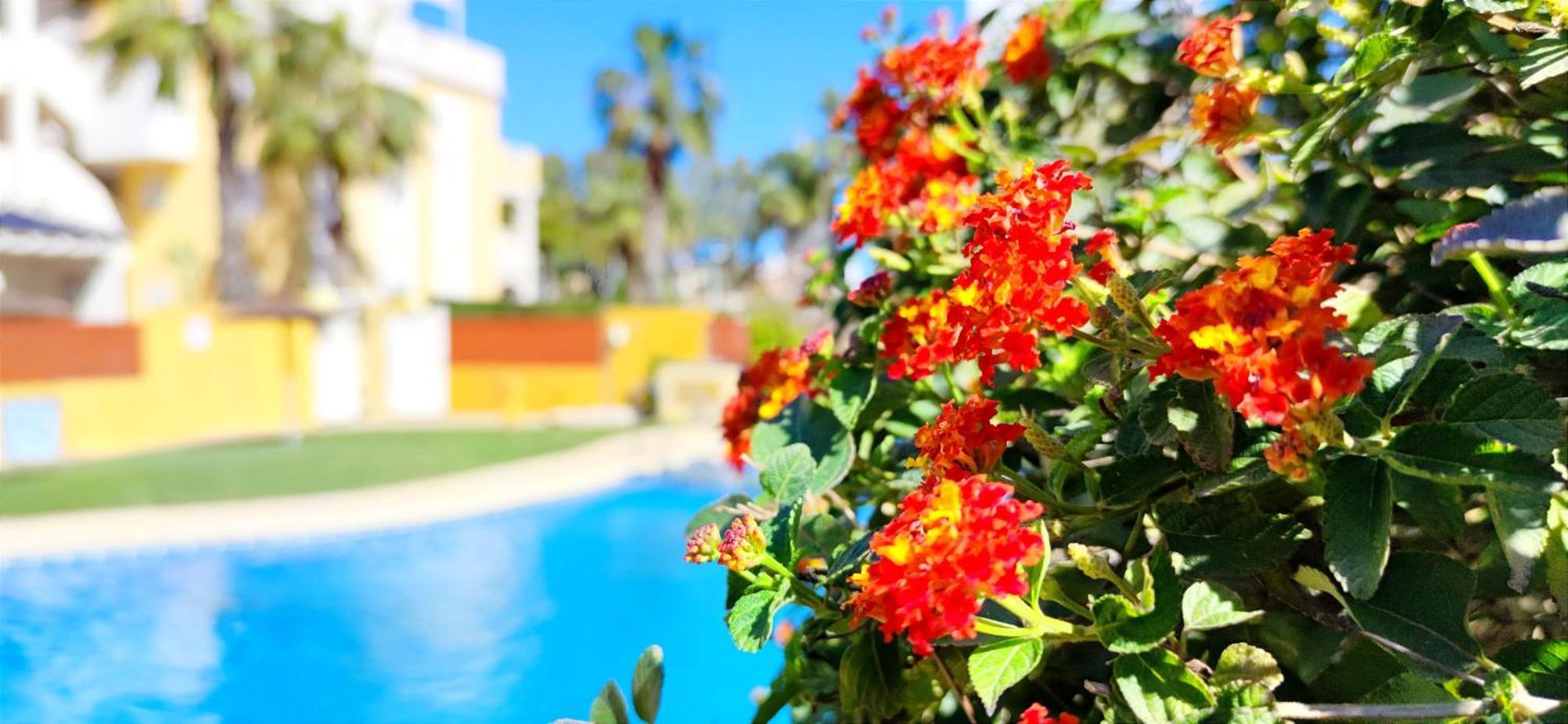 Apartamento Playa Sol By Denia Costa Kültér fotó