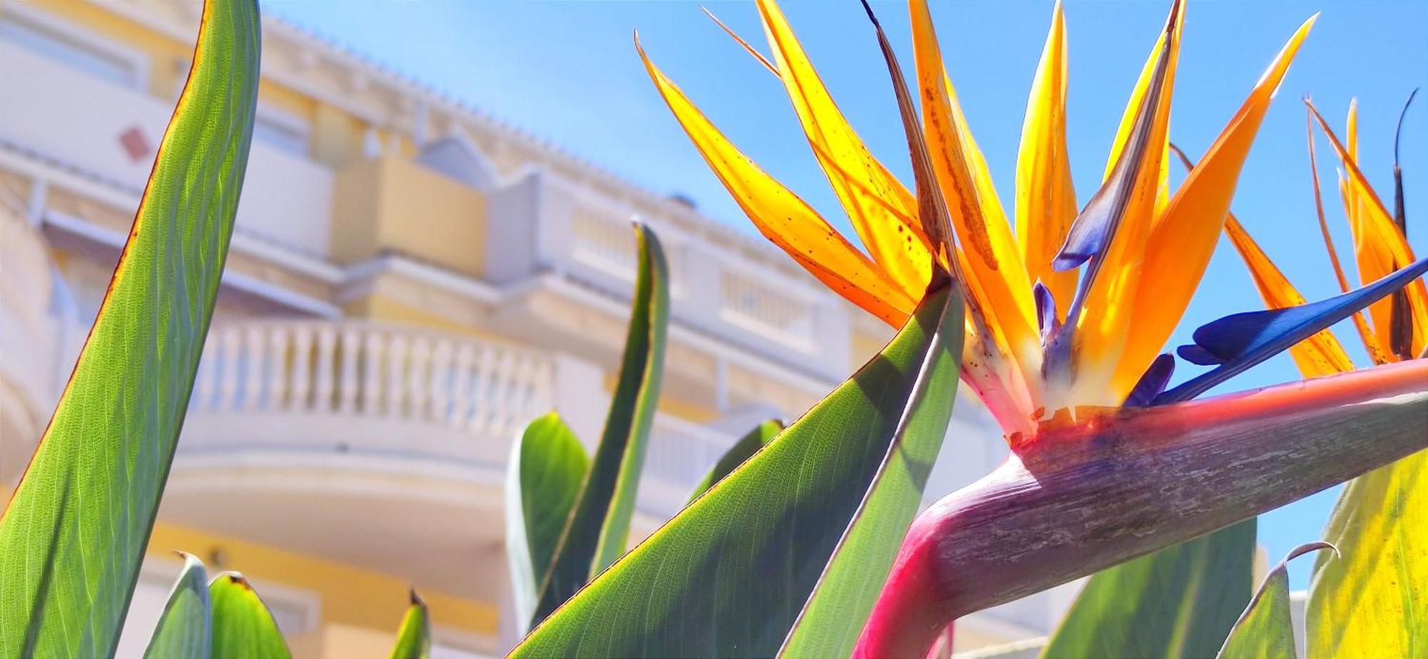 Apartamento Playa Sol By Denia Costa Kültér fotó